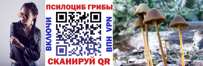 Псилоцибиновые грибы мицелий  Арамиль 